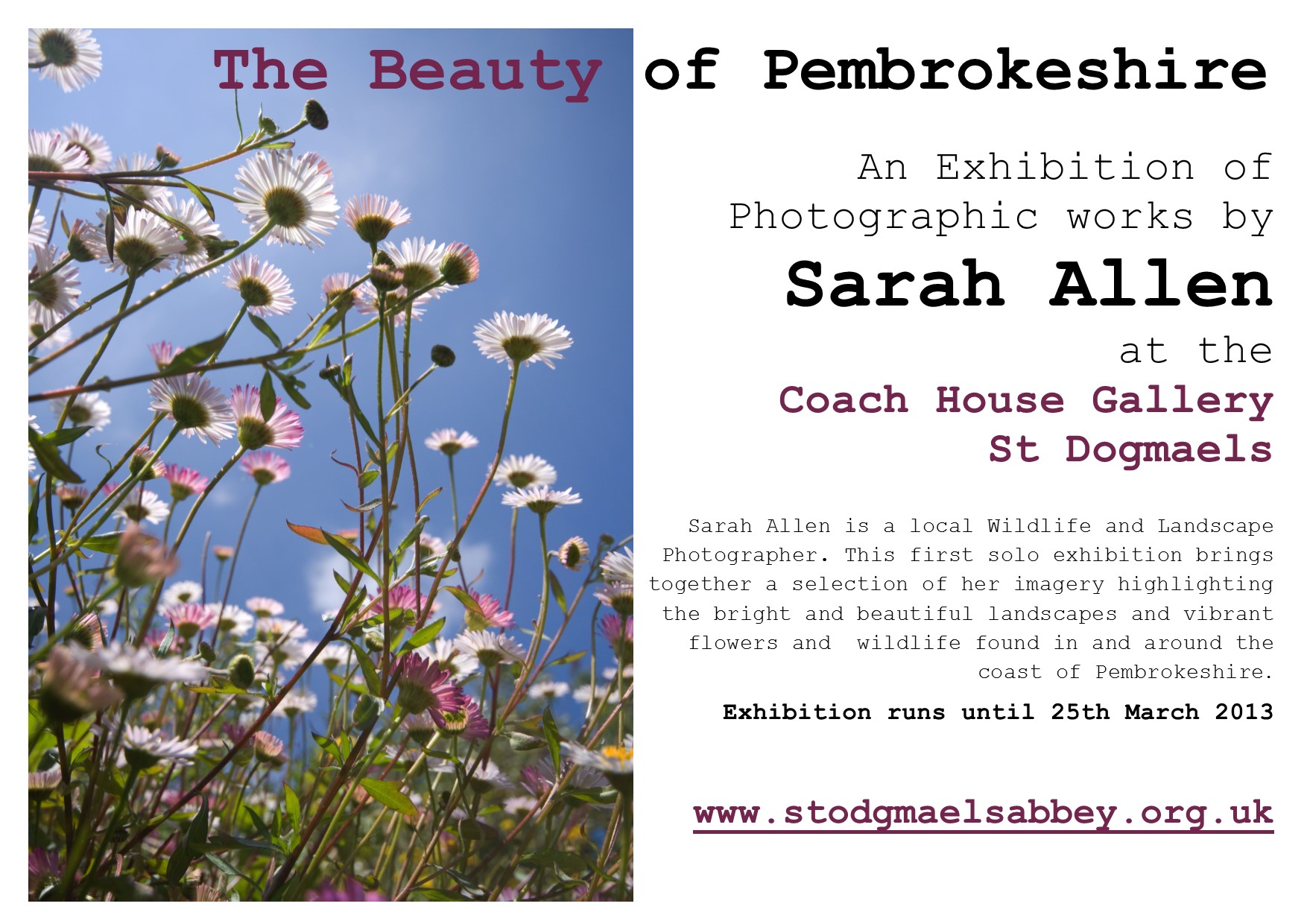 SARAH ALLEN EXHIBTION